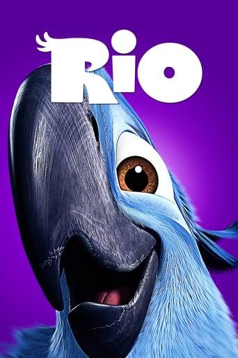 Rio Image