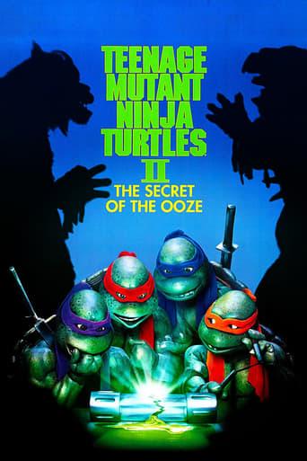 Teenage Mutant Ninja Turtles II: The Secret of the Ooze Image