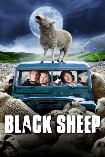 Black Sheep Image