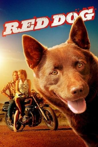 Red Dog Image