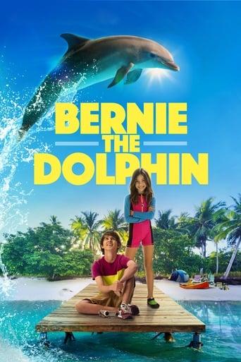 Bernie the Dolphin Image