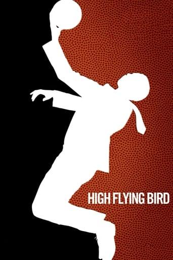 High Flying Bird Image