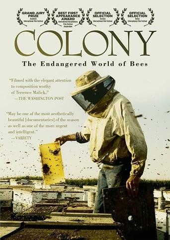 Colony Image