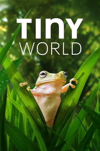 Tiny World Image