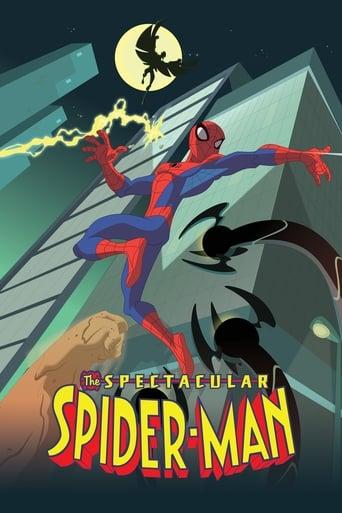 The Spectacular Spider-Man Image