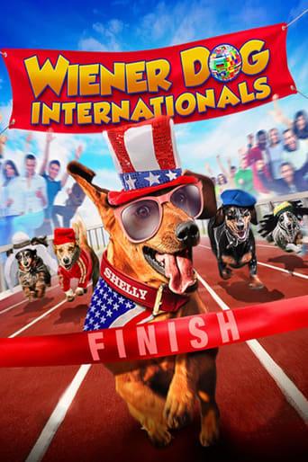 Wiener Dog Internationals Image