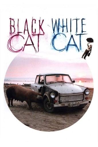 Black Cat, White Cat Image