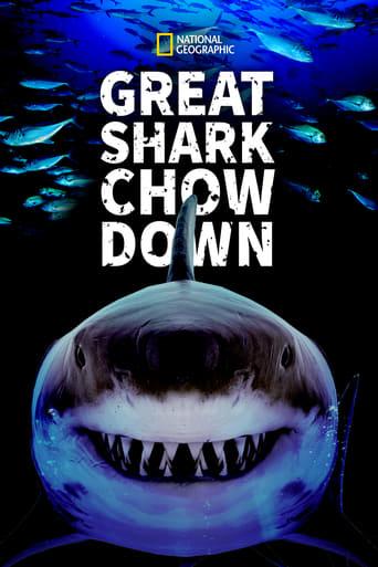 Great Shark Chow Down Image