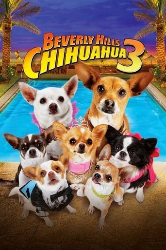 Beverly Hills Chihuahua 3 - Viva La Fiesta! Image