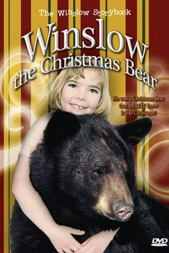 Winslow the Christmas Bear Image