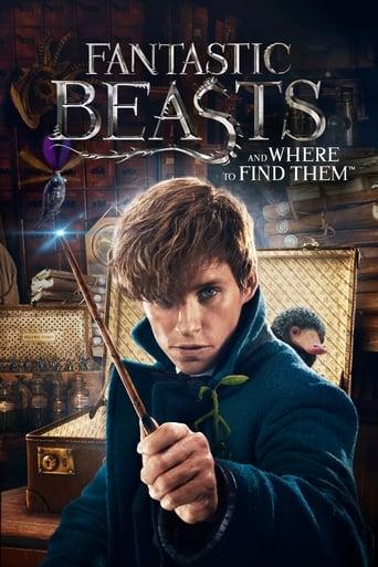 Fantastic Beasts and Where to Find Them Image