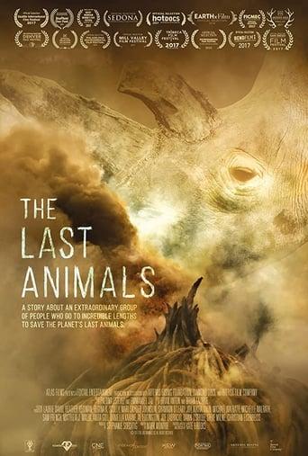 The Last Animals Image