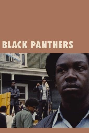 Black Panthers Image