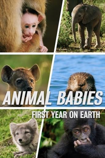 Animal Babies: First Year On Earth Image