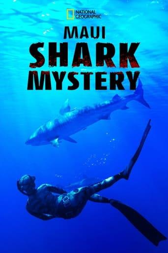 Maui Shark Mystery Image