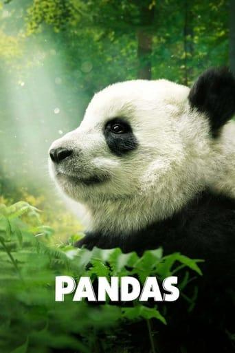 Pandas Image
