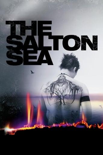 The Salton Sea Image