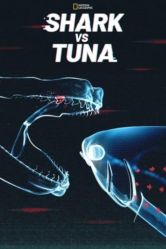 Shark vs. Tuna Image