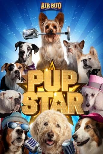 Pup Star Image
