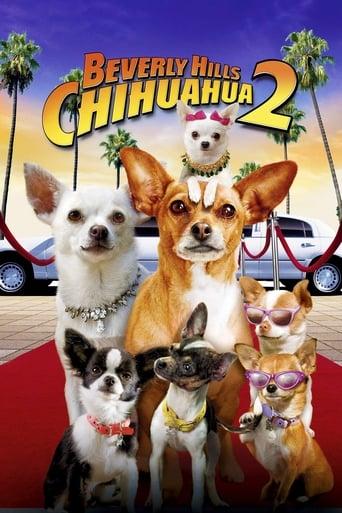 Beverly Hills Chihuahua 2 Image