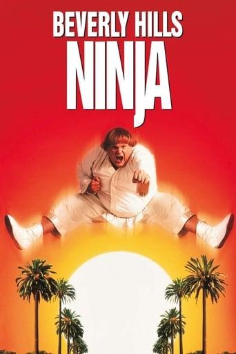 Beverly Hills Ninja Image
