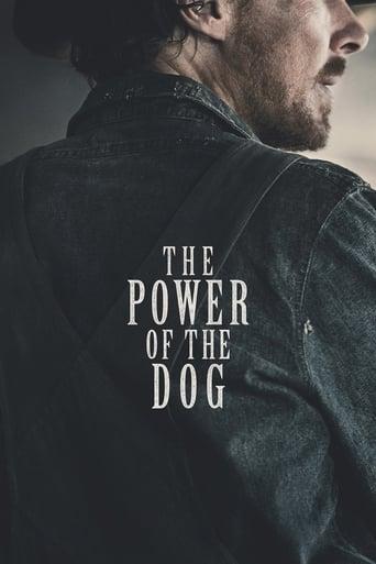 The Power of the Dog Image