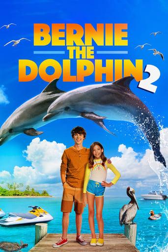 Bernie the Dolphin 2 Image