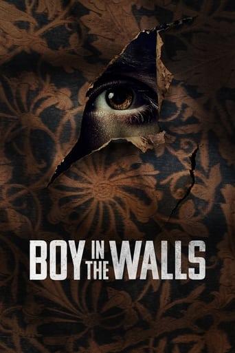 Boy in the Walls Image