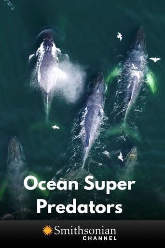 Ocean Super Predators Image