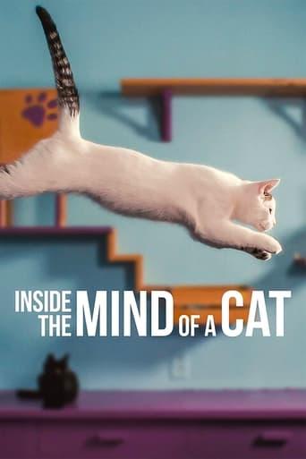 Inside the Mind of a Cat Image