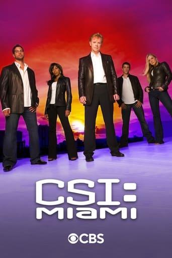 CSI: Miami Image