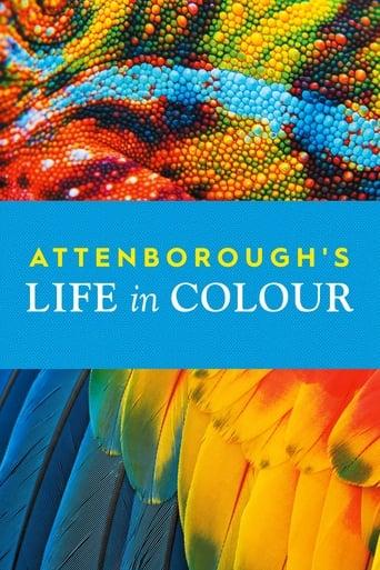 Attenborough's Life in Colour Image