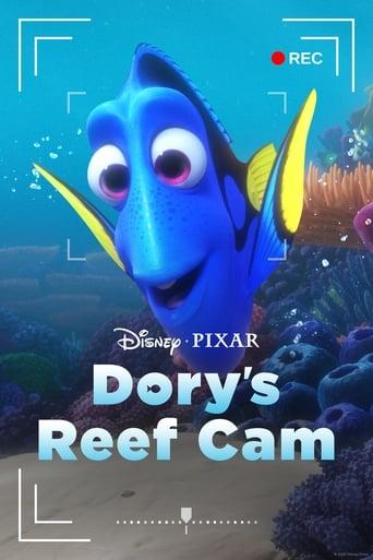 Dory's Reef Cam Image