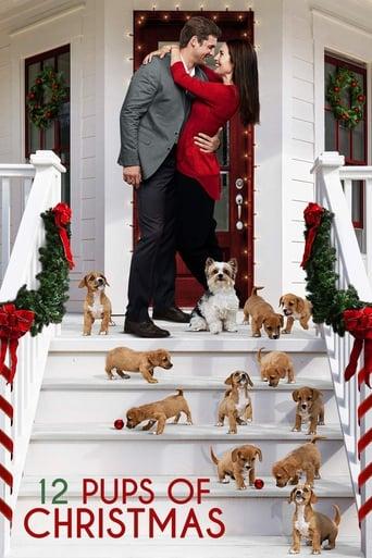 12 Pups of Christmas Image