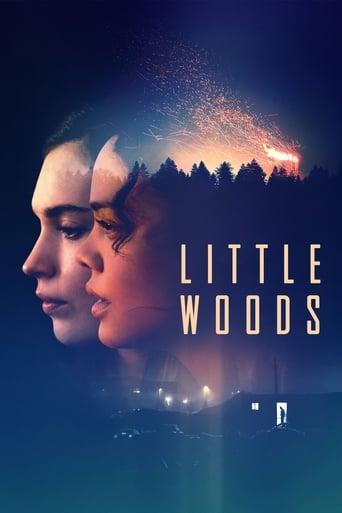 Little Woods Image