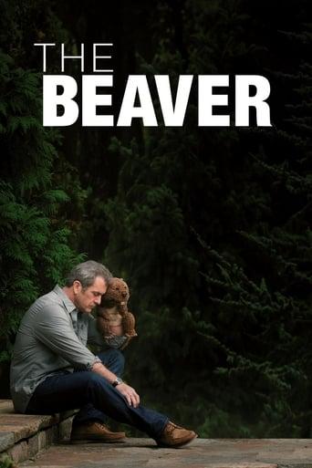 The Beaver Image