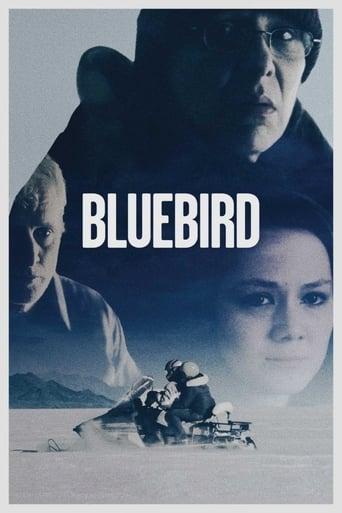 Bluebird Image