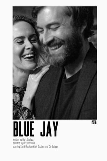 Blue Jay Image