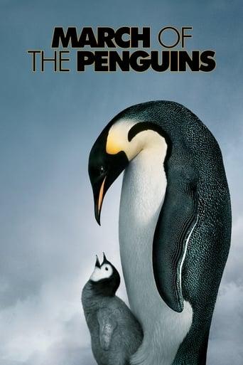 March of the Penguins Image