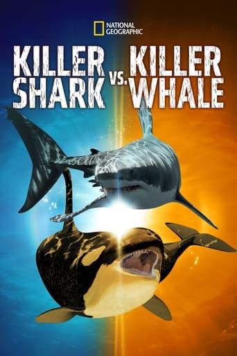 Killer Shark Vs. Killer Whale Image