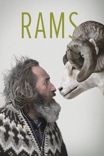 Rams Image