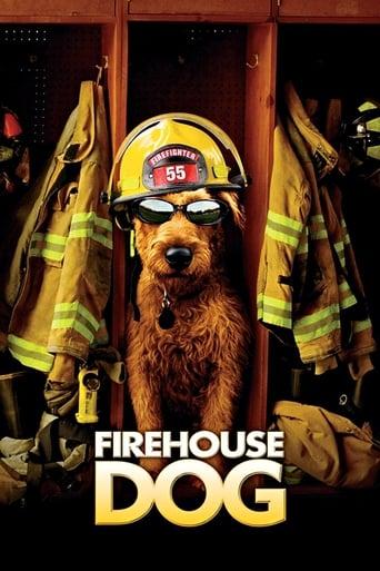 Firehouse Dog Image