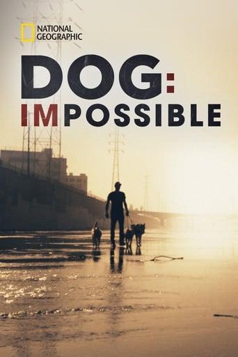 Dog: Impossible Image