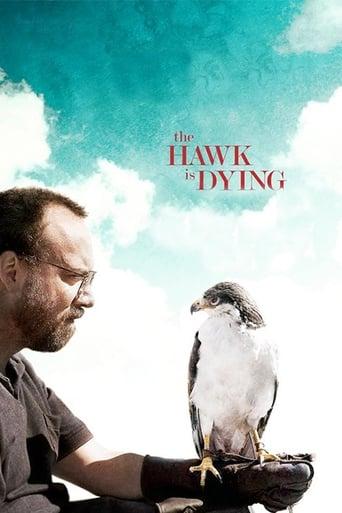 The Hawk Is Dying Image
