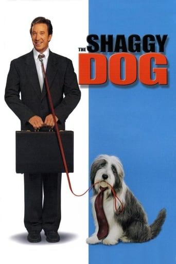 The Shaggy Dog Image