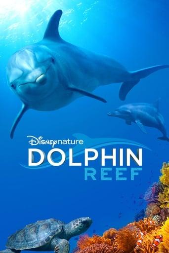 Dolphin Reef Image
