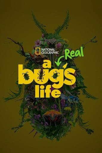 A Real Bug's Life Image