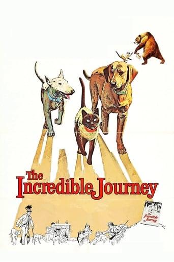 The Incredible Journey Image