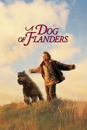 A Dog of Flanders Image