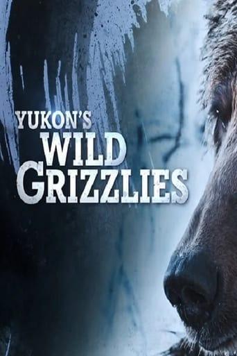 Yukon's Wild Grizzlies Image